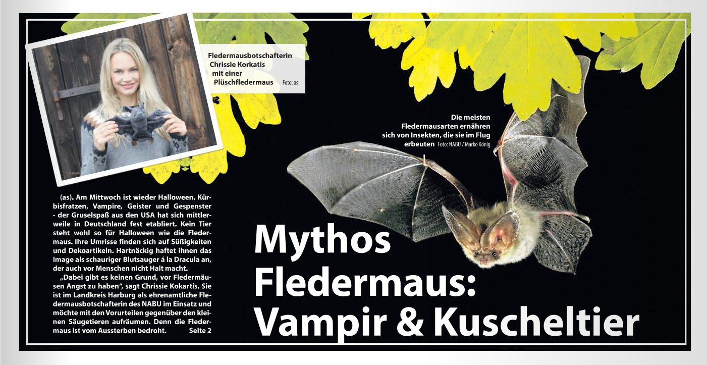 Mythos Fledermaus: Vampir und Kuscheltier
